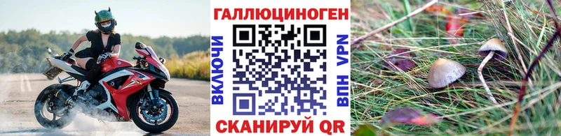 цена наркотик  Михайловск  Псилоцибиновые грибы GOLDEN TEACHER 