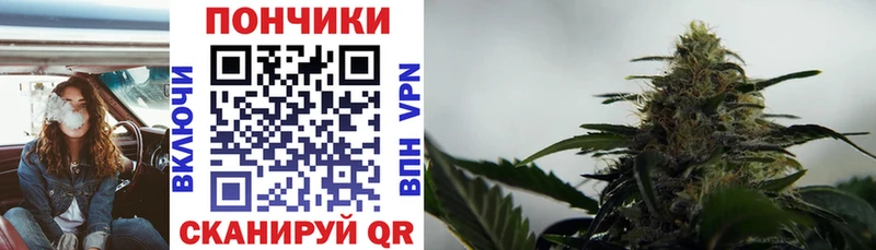 Шишки марихуана MAZAR  Михайловск 